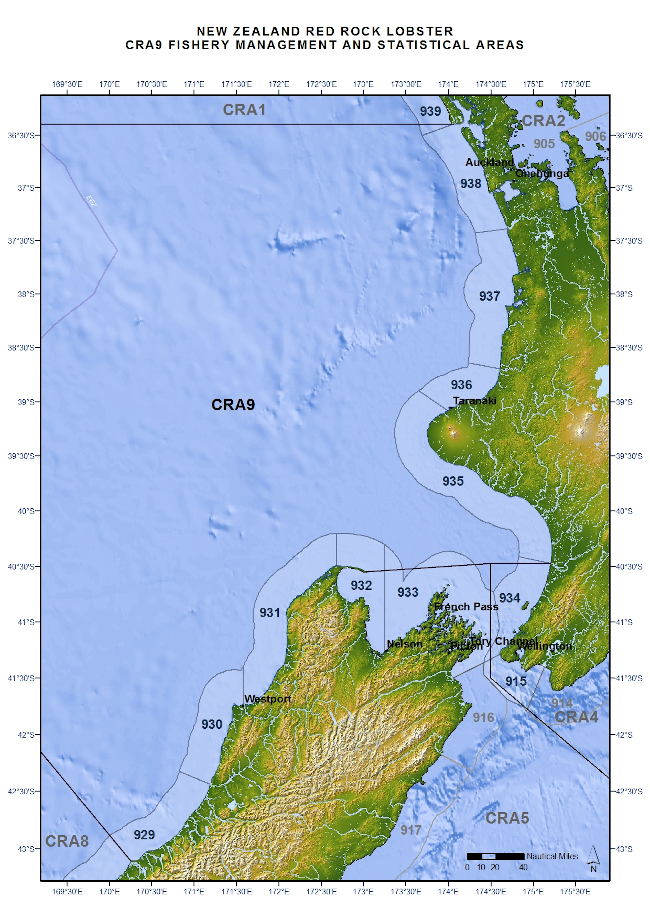 CRA9 Fishery management and statistical areas