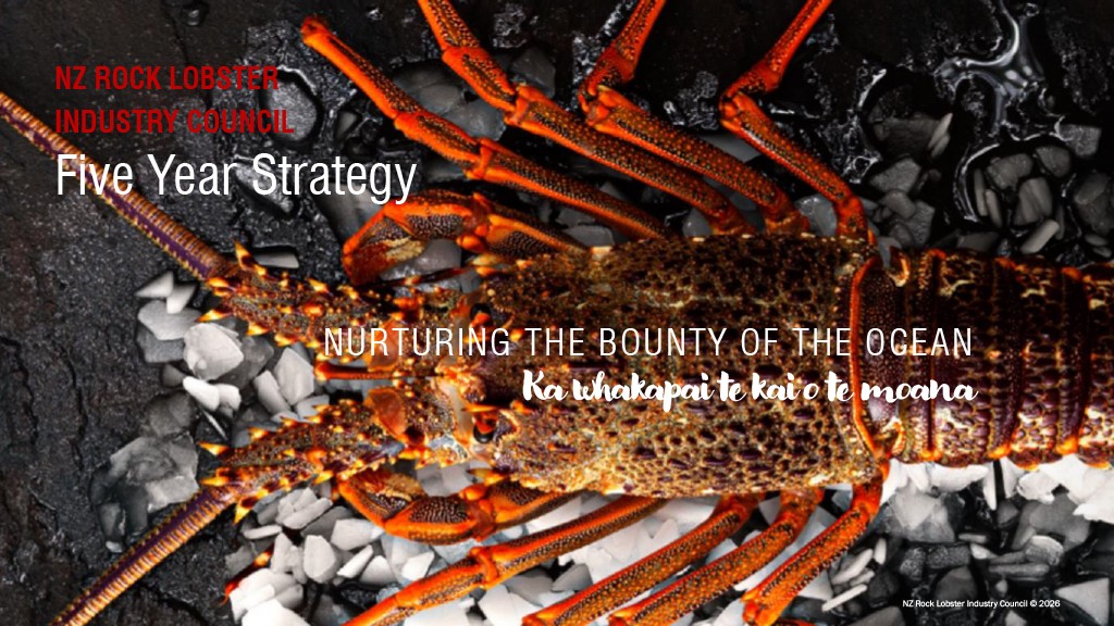 Cover Image_NZRLIC Strategy Final Design_240627